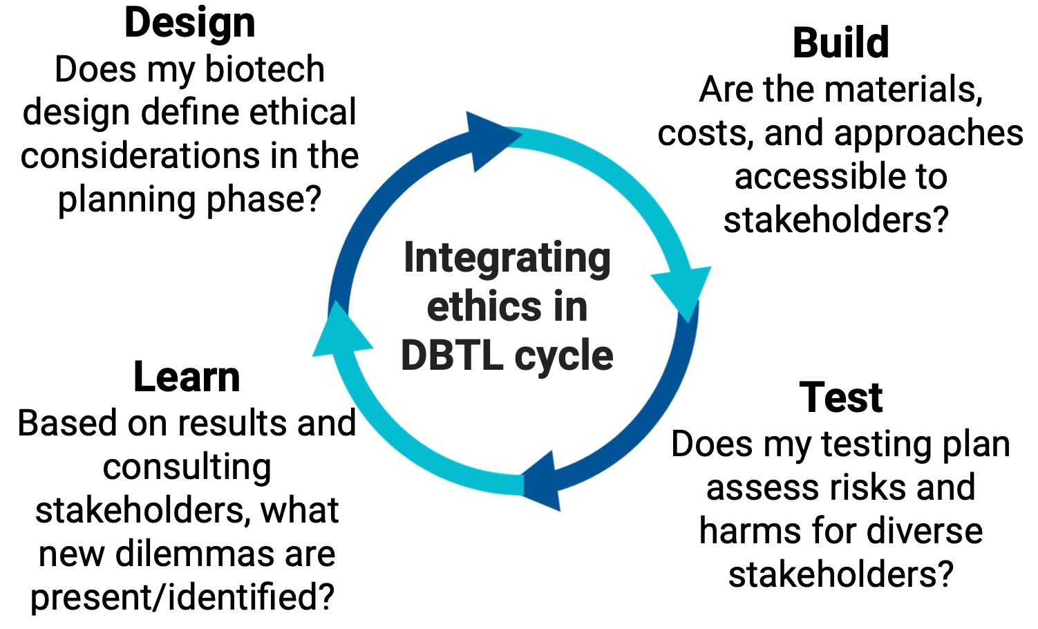 Cycle showcases the design-build-test-learn cycle in biotechnology with ethics as a core principle of this work